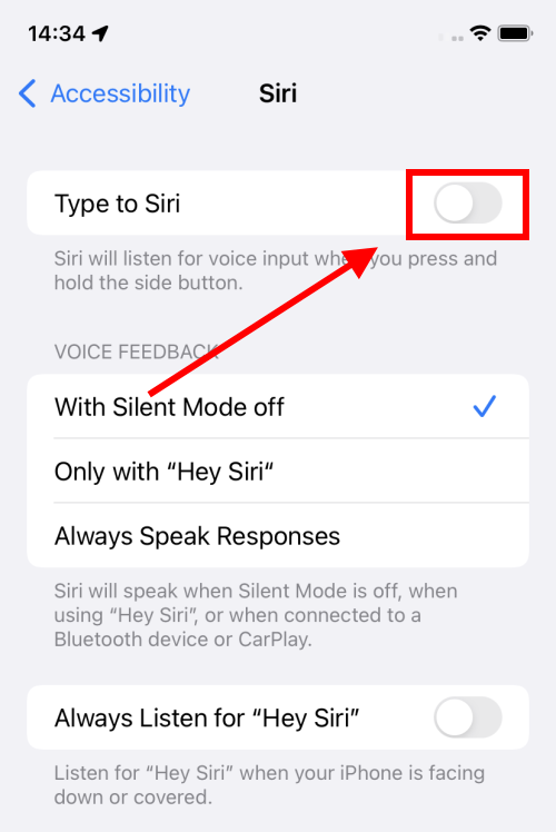 Tap the switch next to Type to Siri